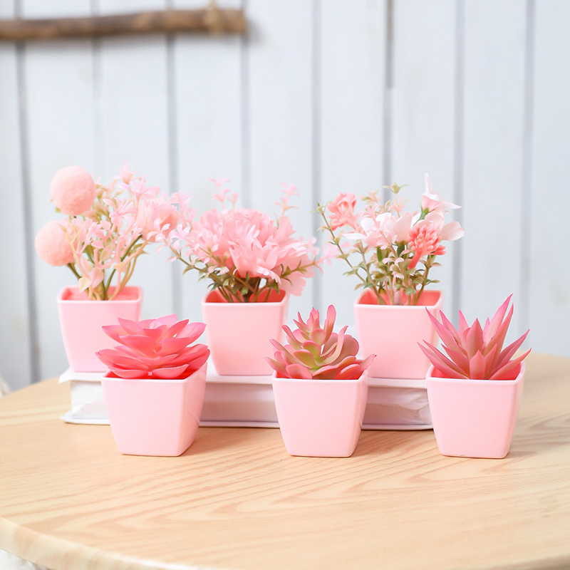 6 pièces de mini plantes en po - Home Office Inspiration avis et prix