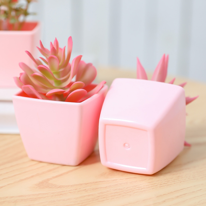 6 pièces de mini plantes en po - Home Office Inspiration avis et prix