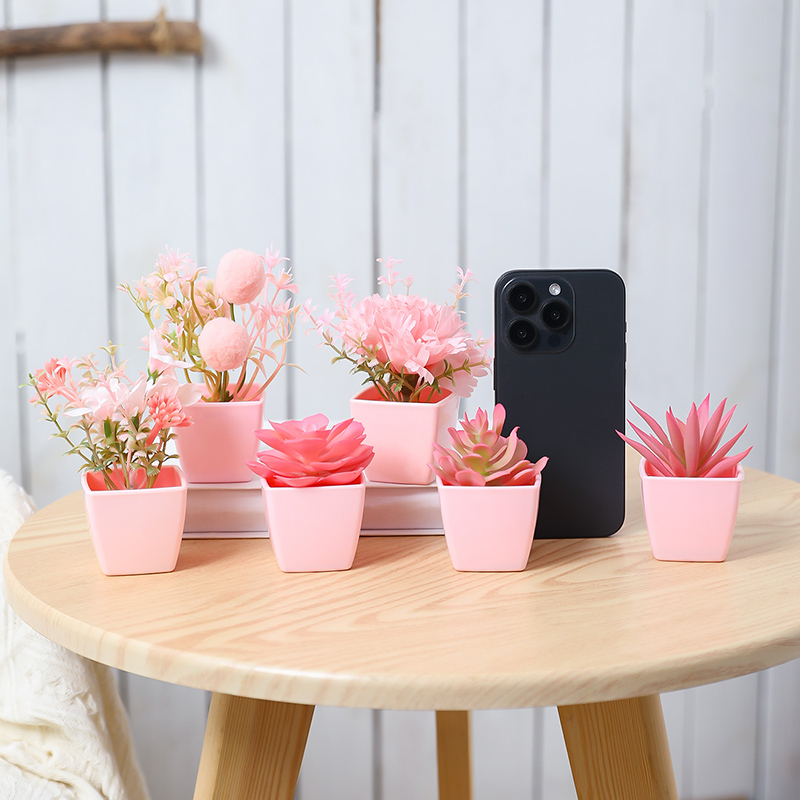 6 pièces de mini plantes en po - Home Office Inspiration avis et prix